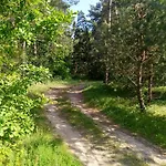 Letniskowe Szczycionek