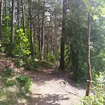 Letniskowe Szczycionek