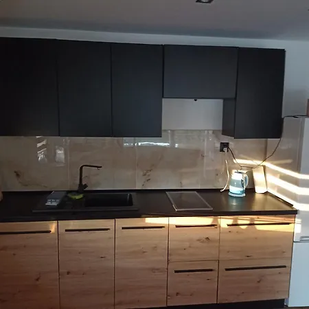 Nadbrzegiem Szczycionek - Caloroczne Nad Jeziorem Lodge *