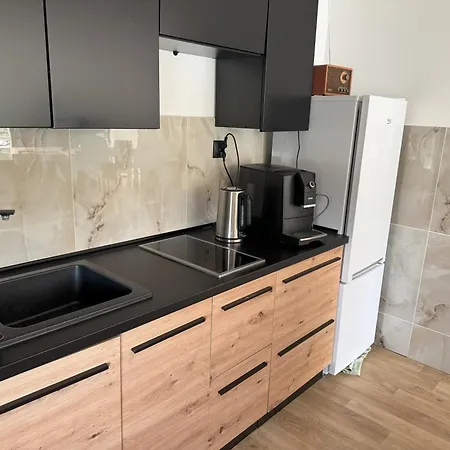 Nadbrzegiem Szczycionek - Caloroczne Nad Jeziorem Lodge *