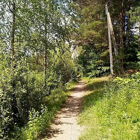 Letniskowe Szczycionek