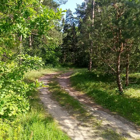 Nadbrzegiem Szczycionek - Caloroczne Nad Jeziorem