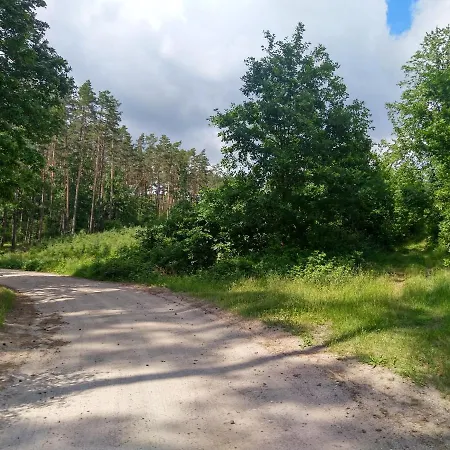 Nadbrzegiem Szczycionek - Caloroczne Nad Jeziorem