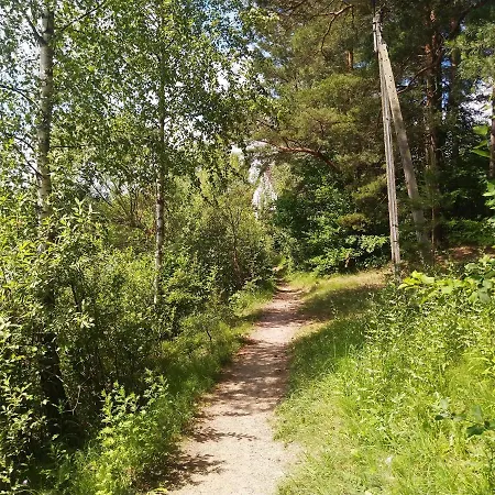 Nadbrzegiem Szczycionek - Caloroczne Nad Jeziorem * Szczytno (Warmian-Masurian)