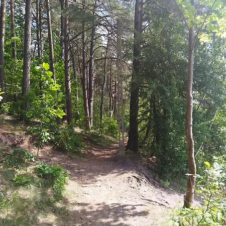 Nadbrzegiem Szczycionek - Caloroczne Nad Jeziorem