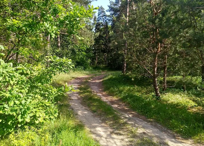 Domki Letniskowe Szczycionek