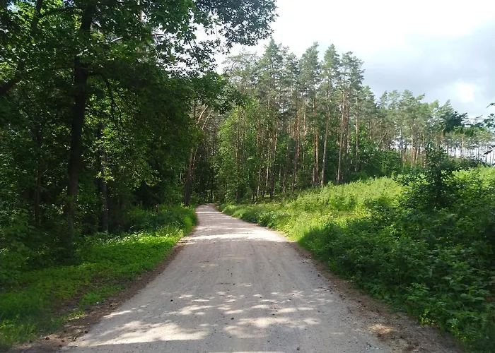 Domki Letniskowe Szczycionek *