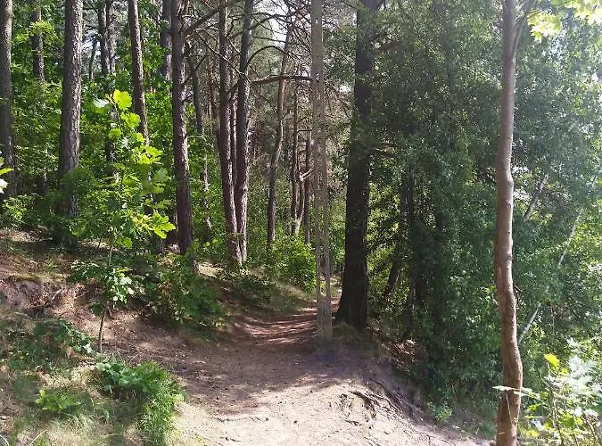 Domki Letniskowe Szczycionek